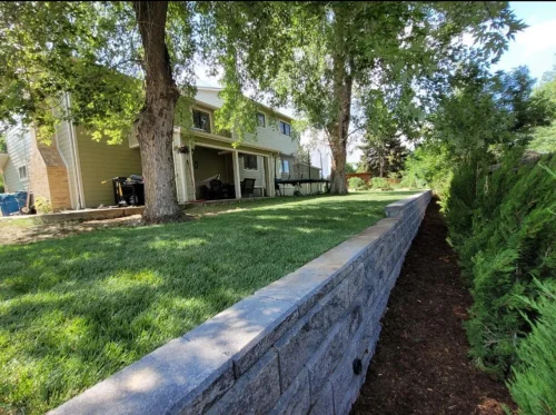 collective-concepts-lakewood-co-2026-02-12T153340.263943Z-64013