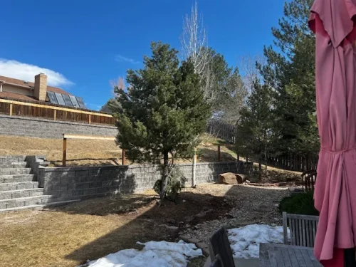 collective-concepts-lakewood-co-2026-02-12T153343.628787Z-92776