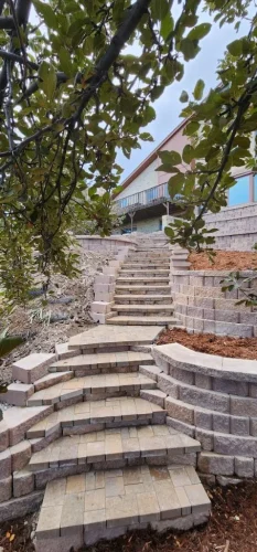 collective-concepts-lakewood-co-2026-02-12T153343.804383Z-51008