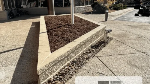 collective-concepts-lakewood-co-2026-02-12T153347.351724Z-55442