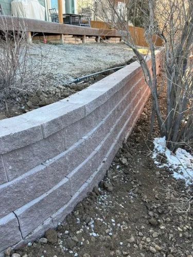 collective-concepts-lakewood-co-2026-02-12T153347.424031Z-63697