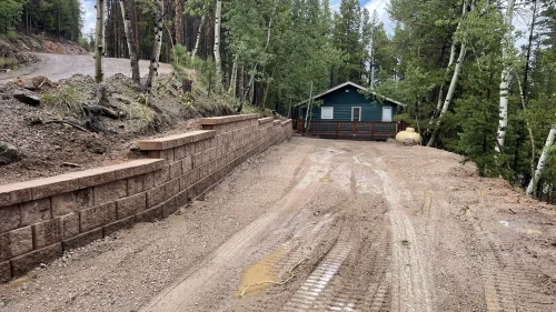 collective-concepts-lakewood-co-2026-02-12T153348.207423Z-29242